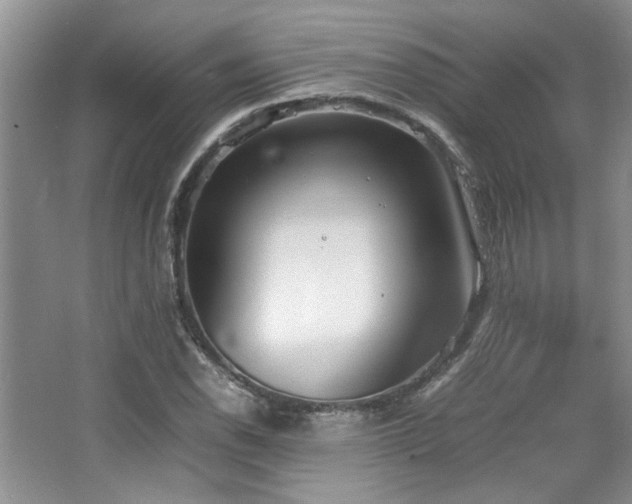 X0000064731118200602101143