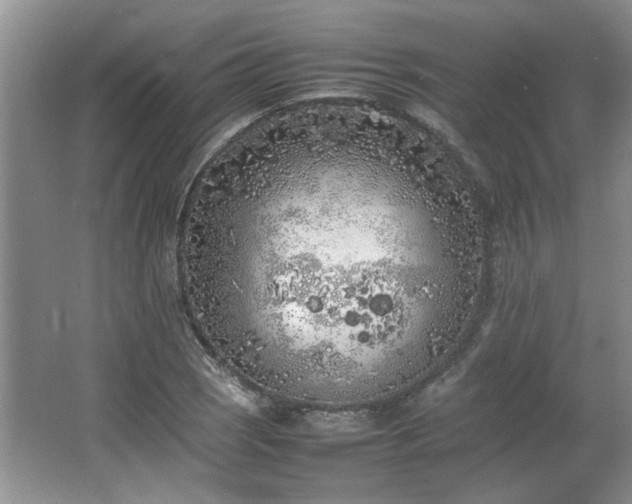 X0000064731121200602101143