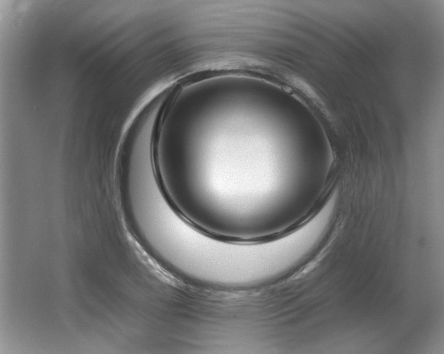 X0000064731122200602101143