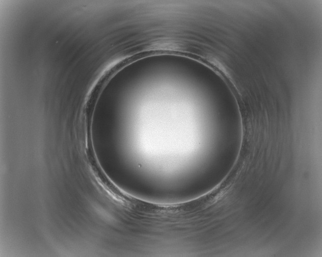 X0000064731123200602101143