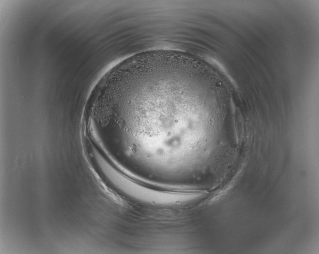 X0000064731125200602101143