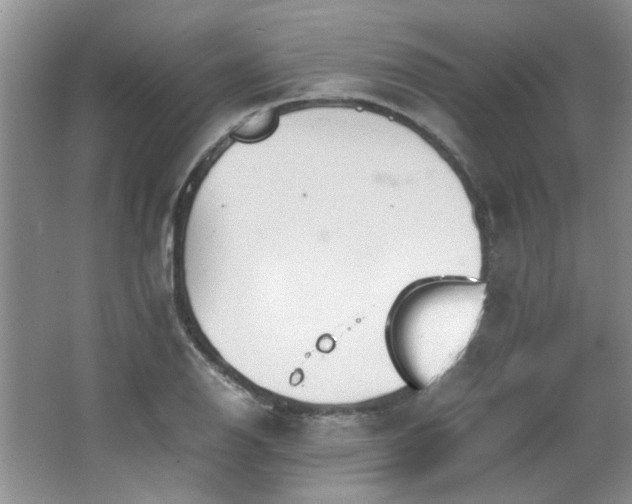 X0000064731126200602101143