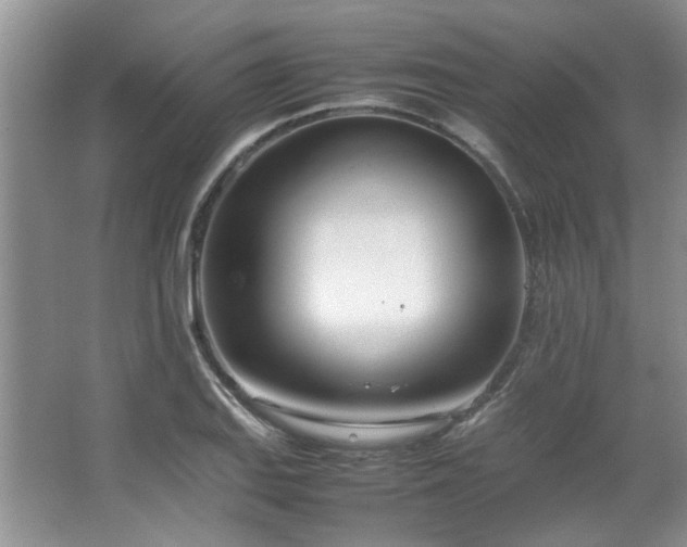 X0000064731127200602101143