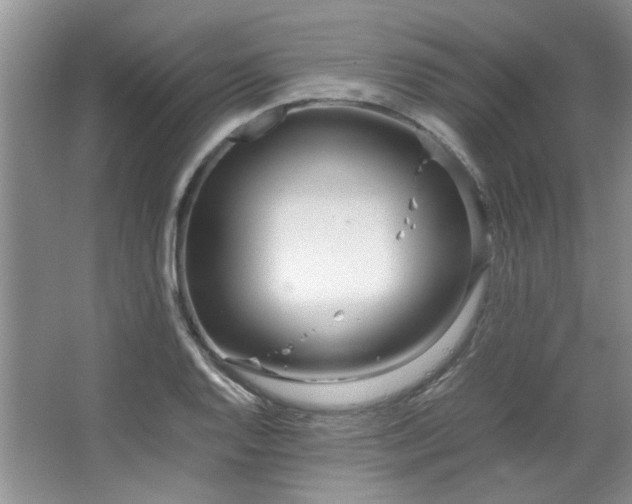 X0000064731128200602101143