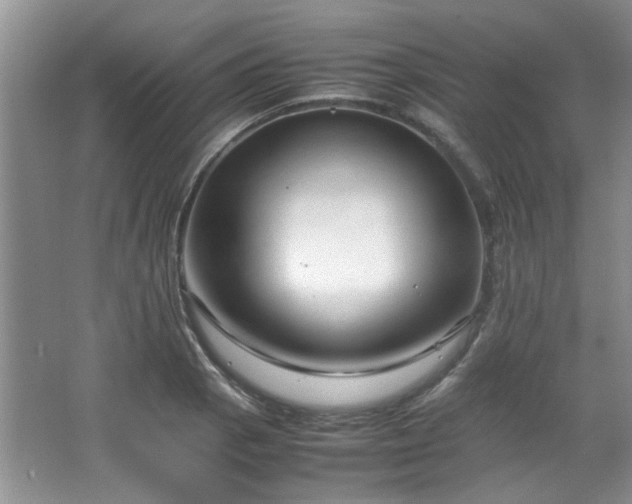 X0000064731129200602101143