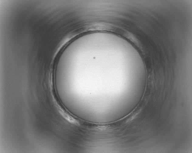 X0000064731130200602101143