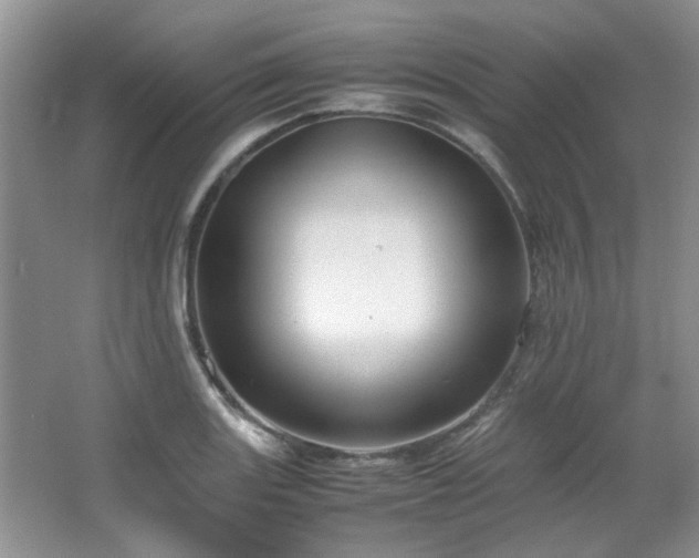 X0000064731131200602101143