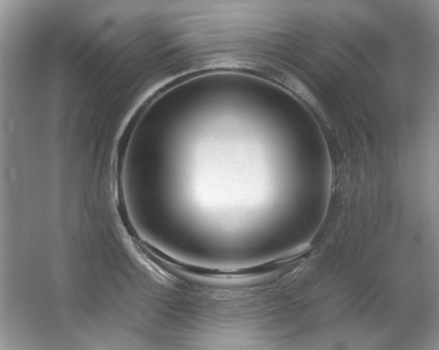 X0000064731132200602101143