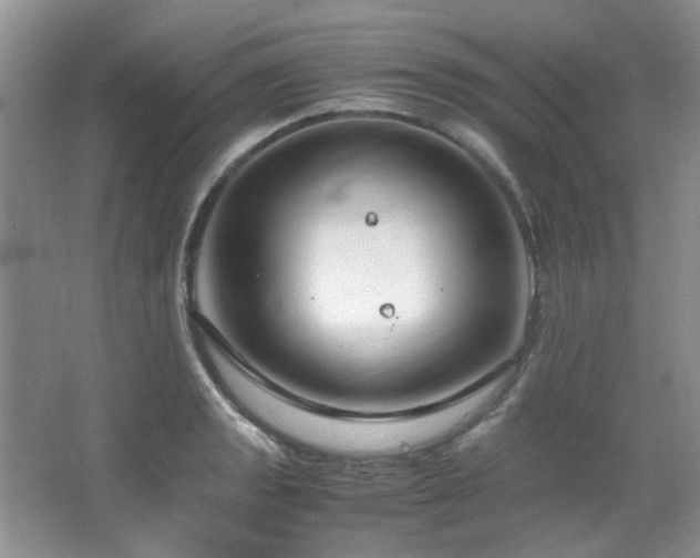 X0000064731133200602101143