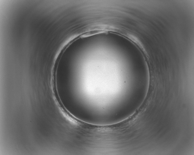 X0000064731136200602101143