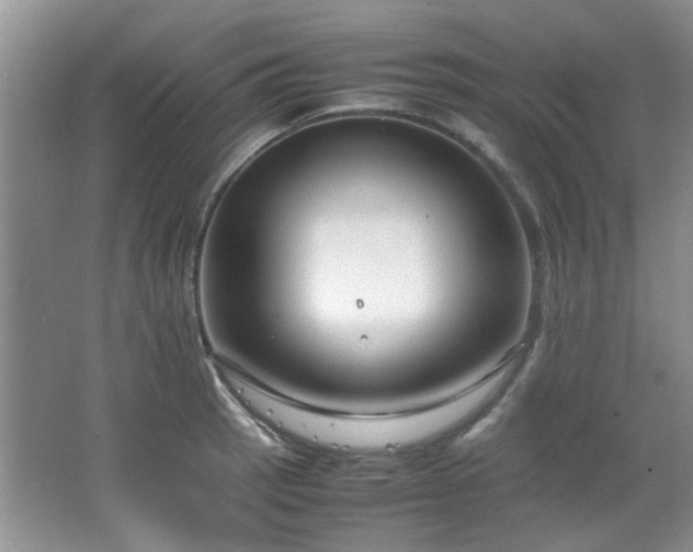 X0000064731137200602101143