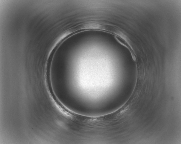 X0000064731139200602101143