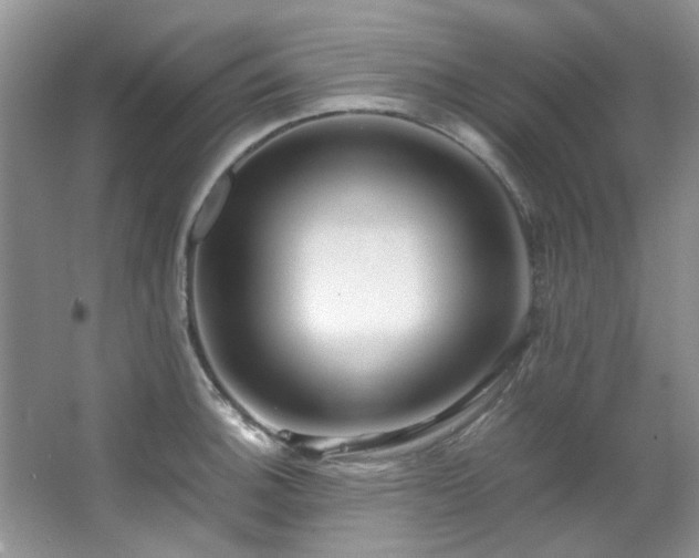 X0000064731140200602101143