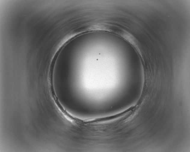 X0000064731141200602101143