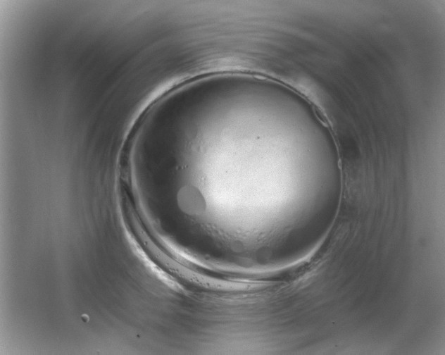 X0000064731142200602101143