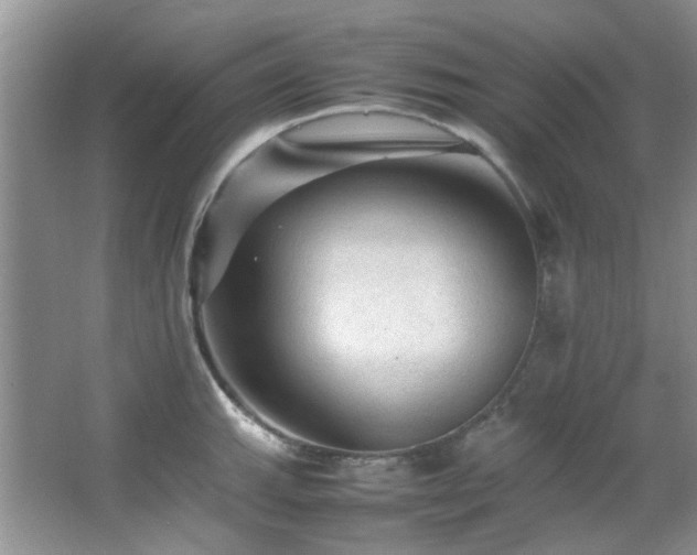 X0000064731143200602101143