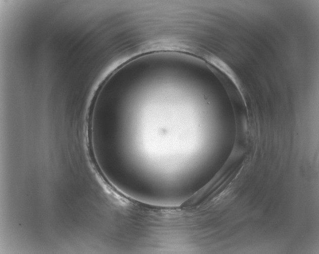 X0000064731144200602101143