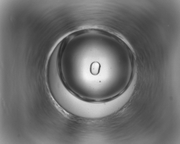 X0000064731148200602101143