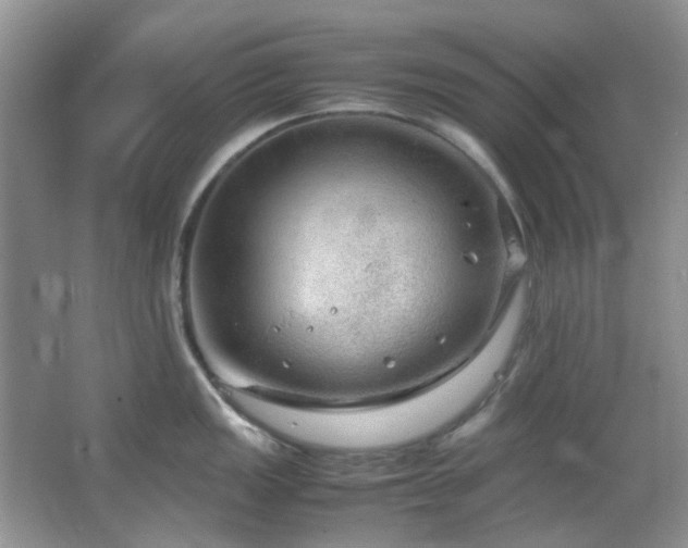 X0000064731149200602101143