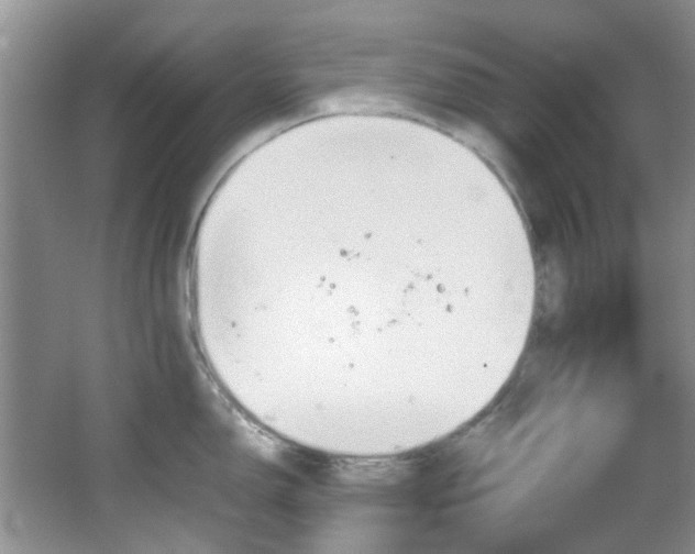 X0000064731150200602101143