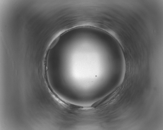 X0000064731151200602101143