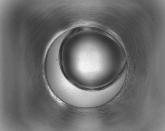 X0000064731152200602101143