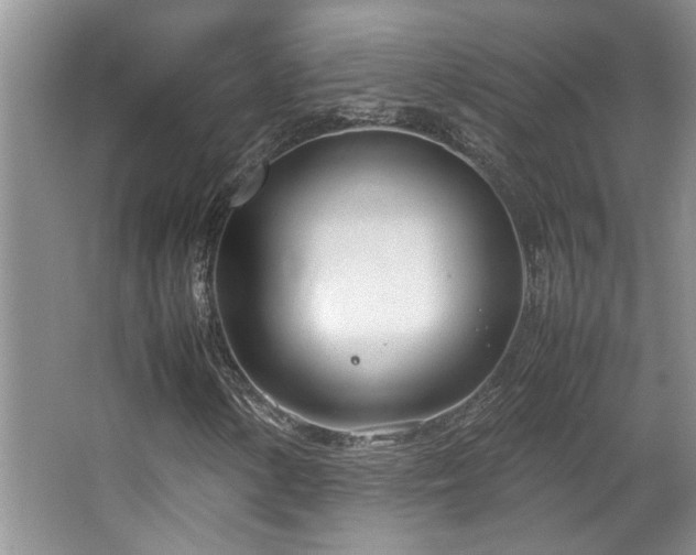 X0000064731154200602101142