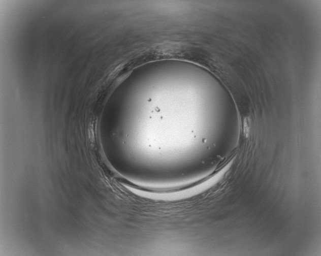 X0000064731155200602101142