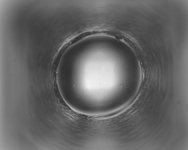 X0000064731160200602101142