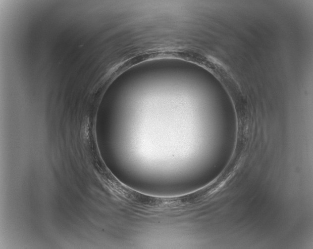 X0000064731161200602101142