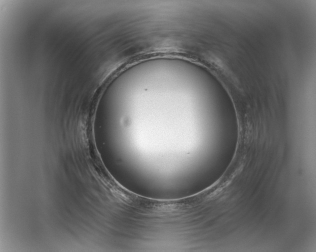 X0000064731162200602101142