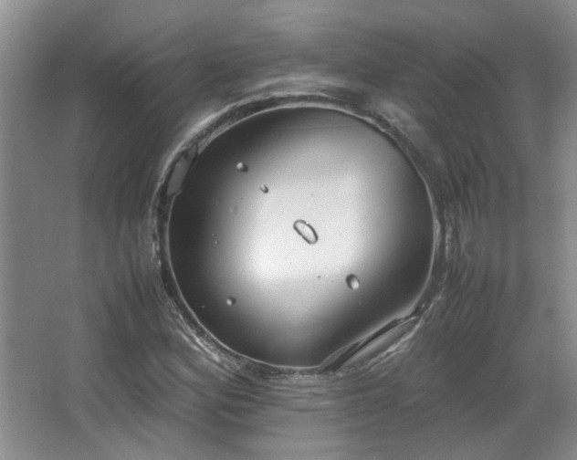 X0000064731164200602101142