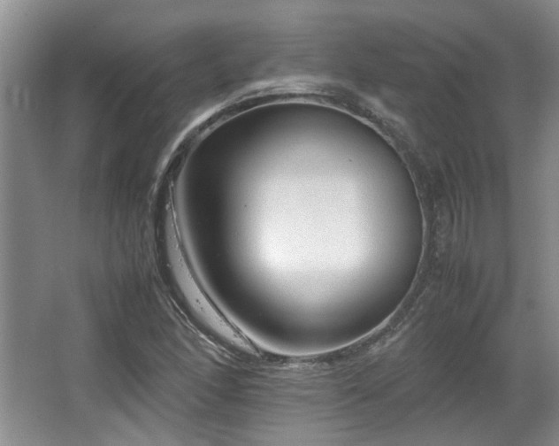 X0000064731166200602101142
