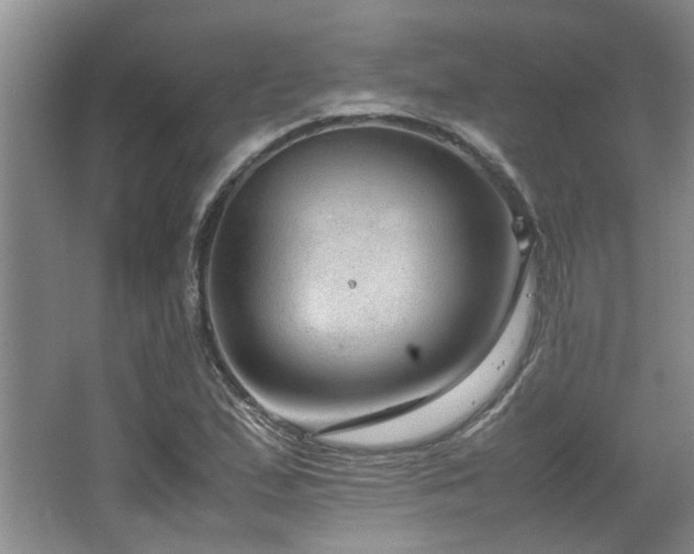 X0000064731167200602101142