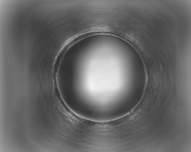 X0000064731168200602101142