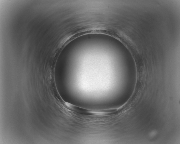 X0000064731169200602101142