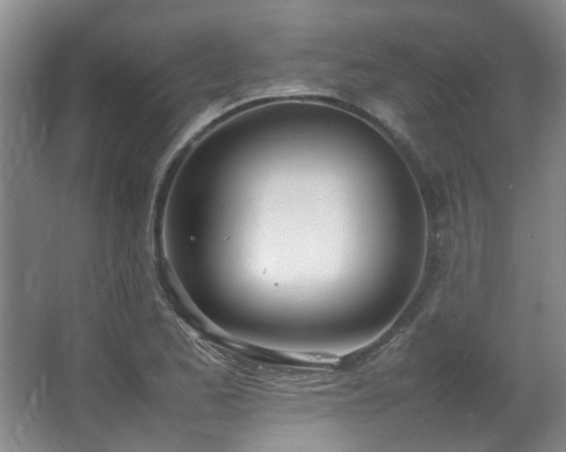 X0000064731173200602101142