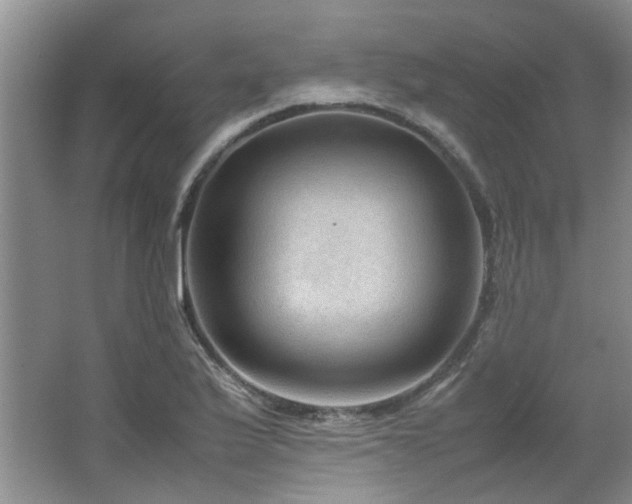 X0000064731175200602101142