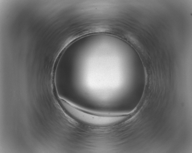 X0000064731178200602101142