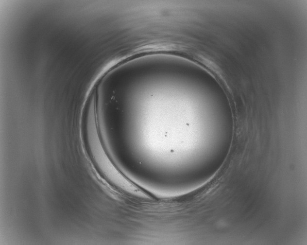 X0000064731179200602101142