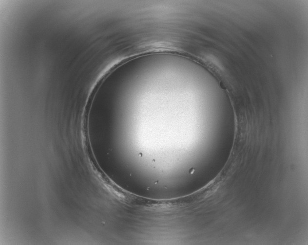 X0000064731182200602101142