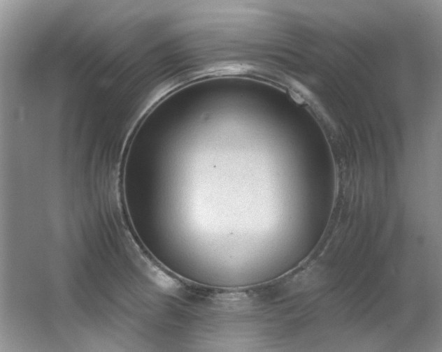 X0000064731186200602101142