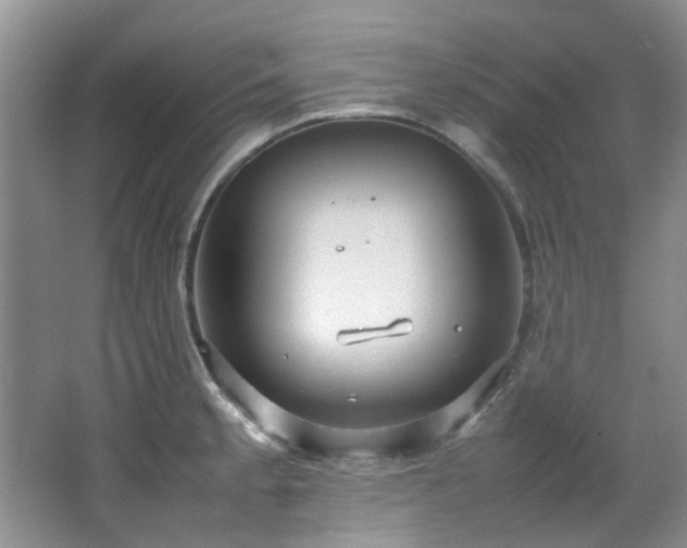 X0000064731189200602101142