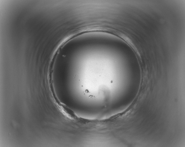 X0000064731197200602101142