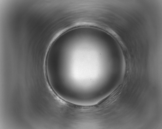 X0000064731199200602101142