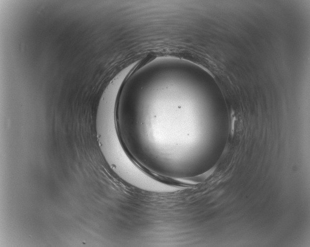 X0000064731202200602101141