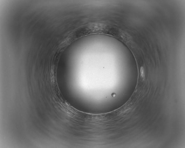 X0000064731203200602101141