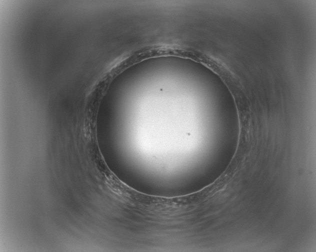 X0000064731207200602101141