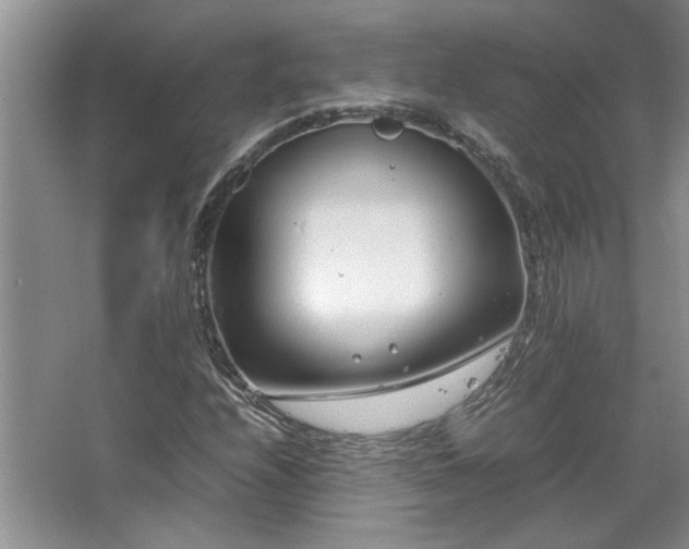 X0000064731208200602101141