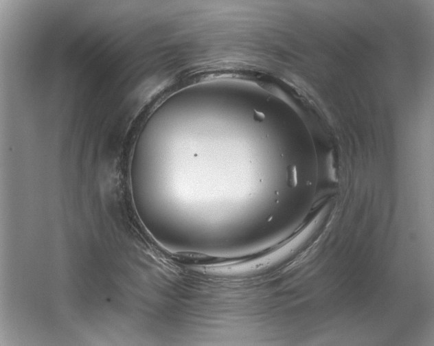 X0000064731210200602101141